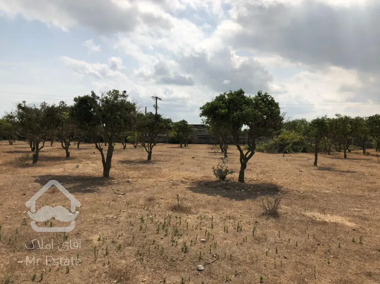 زمین واقع در فرح اباد ساری