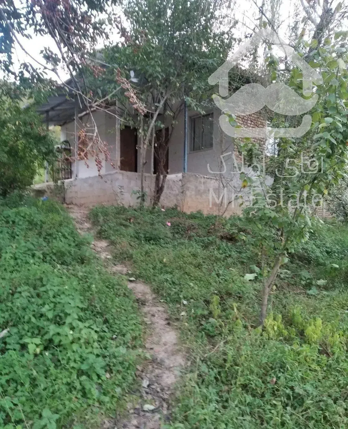 خونه چسبیده به جنگل باامکانات، برای مسافران نوروزی