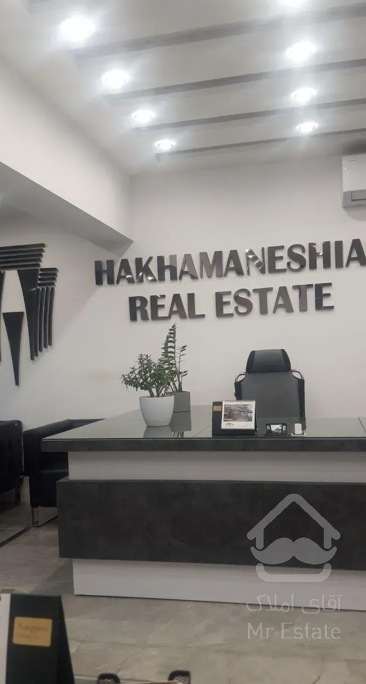 نوبنیاد یک روبه نما