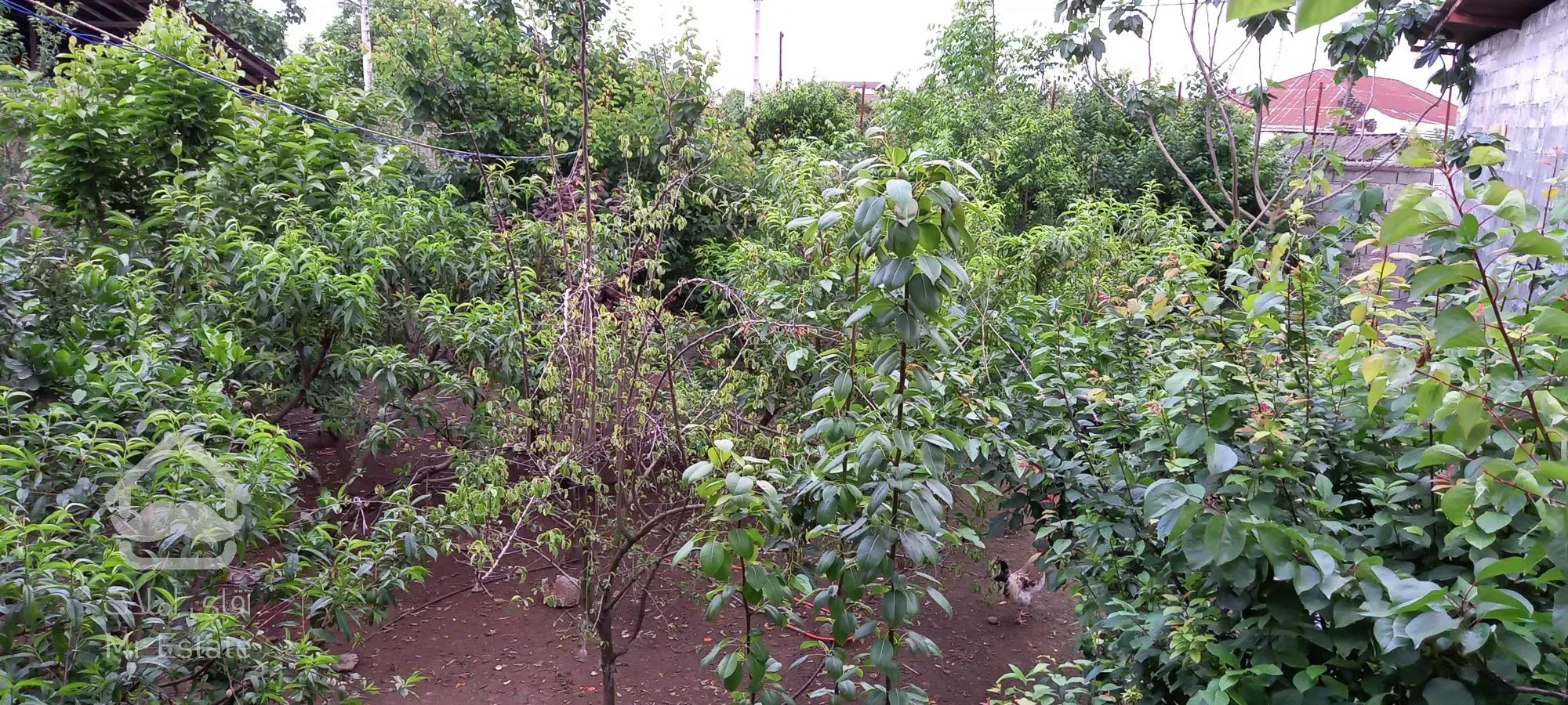 فروش ویلاباغ با ویژگی های عالی در مازندران