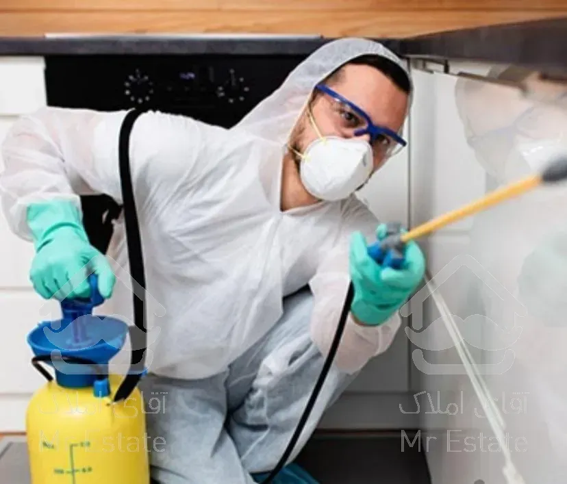 سمپاشی/ساس موریانه سوسک موش مارمولک/کل شهر/سم پاشی