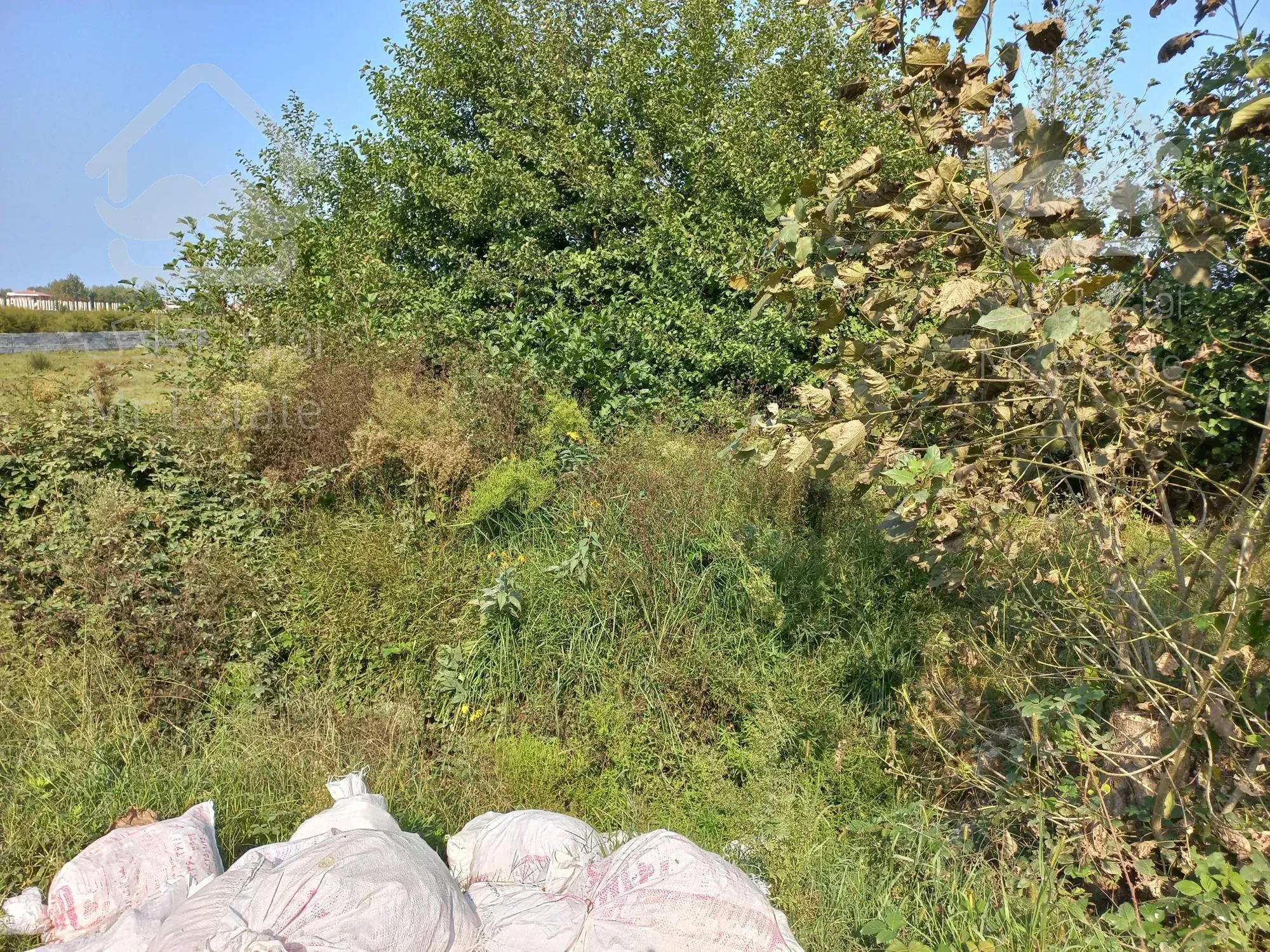 زمینی ۳۰۰ متری با ویو ابدی سرسبز