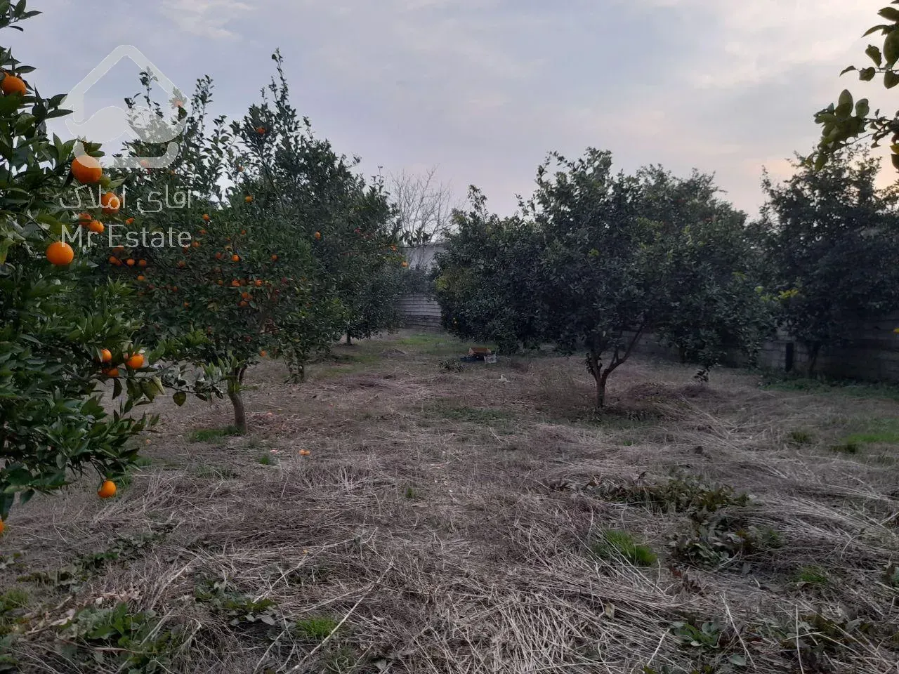 سرمایه گذاری باسودصددرصد