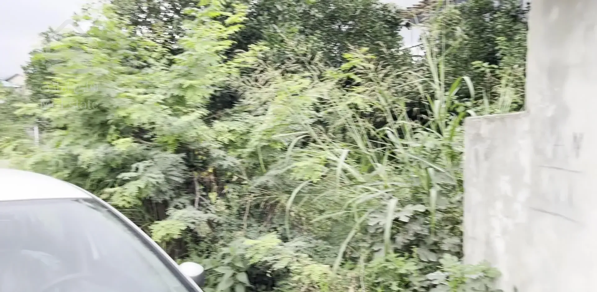 ویلا(خانه قدیمی)۳۱۸مترزمین سنددار