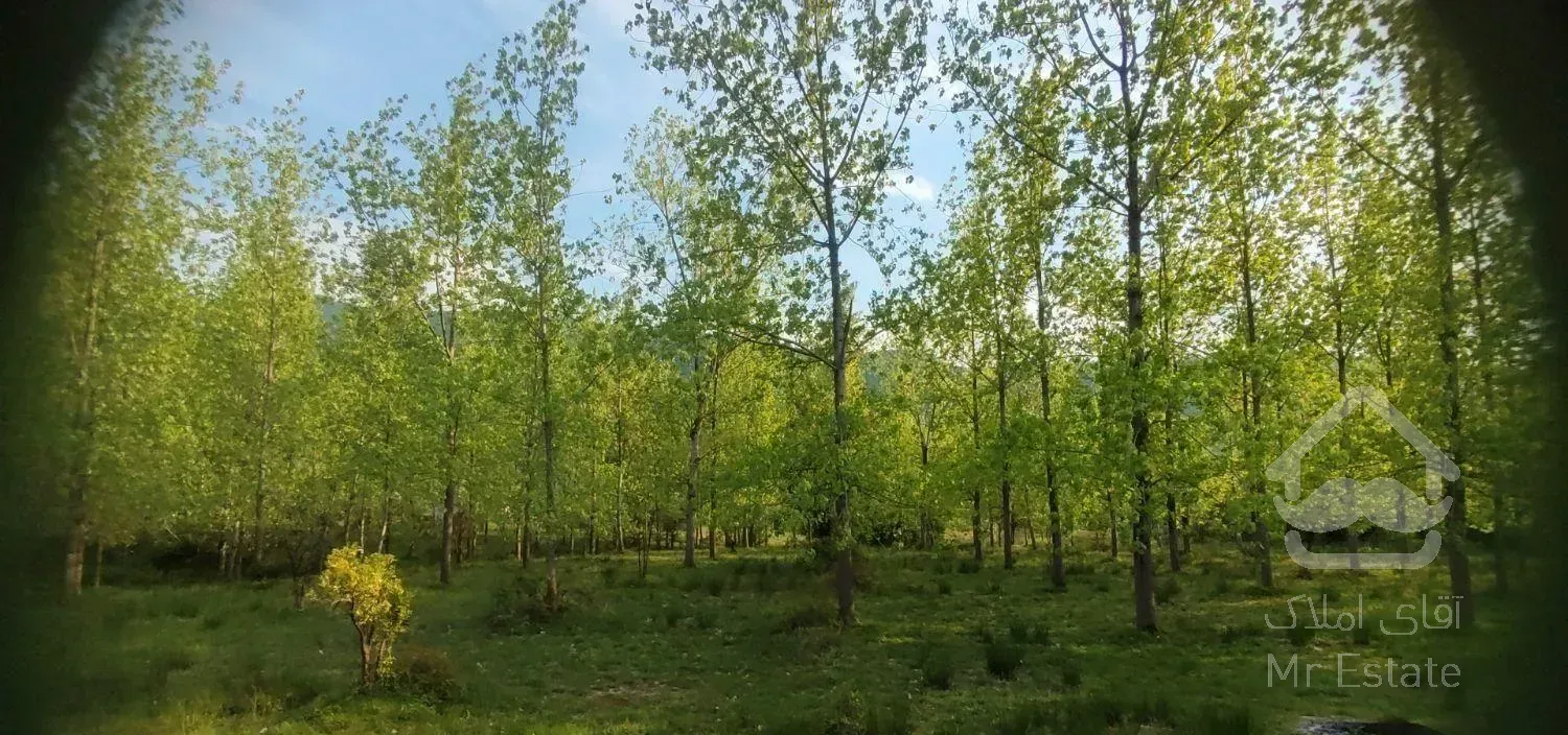 ویلا جنگلی ۱۵۰ زمین ۸۰ بنا نزدیک جنگل