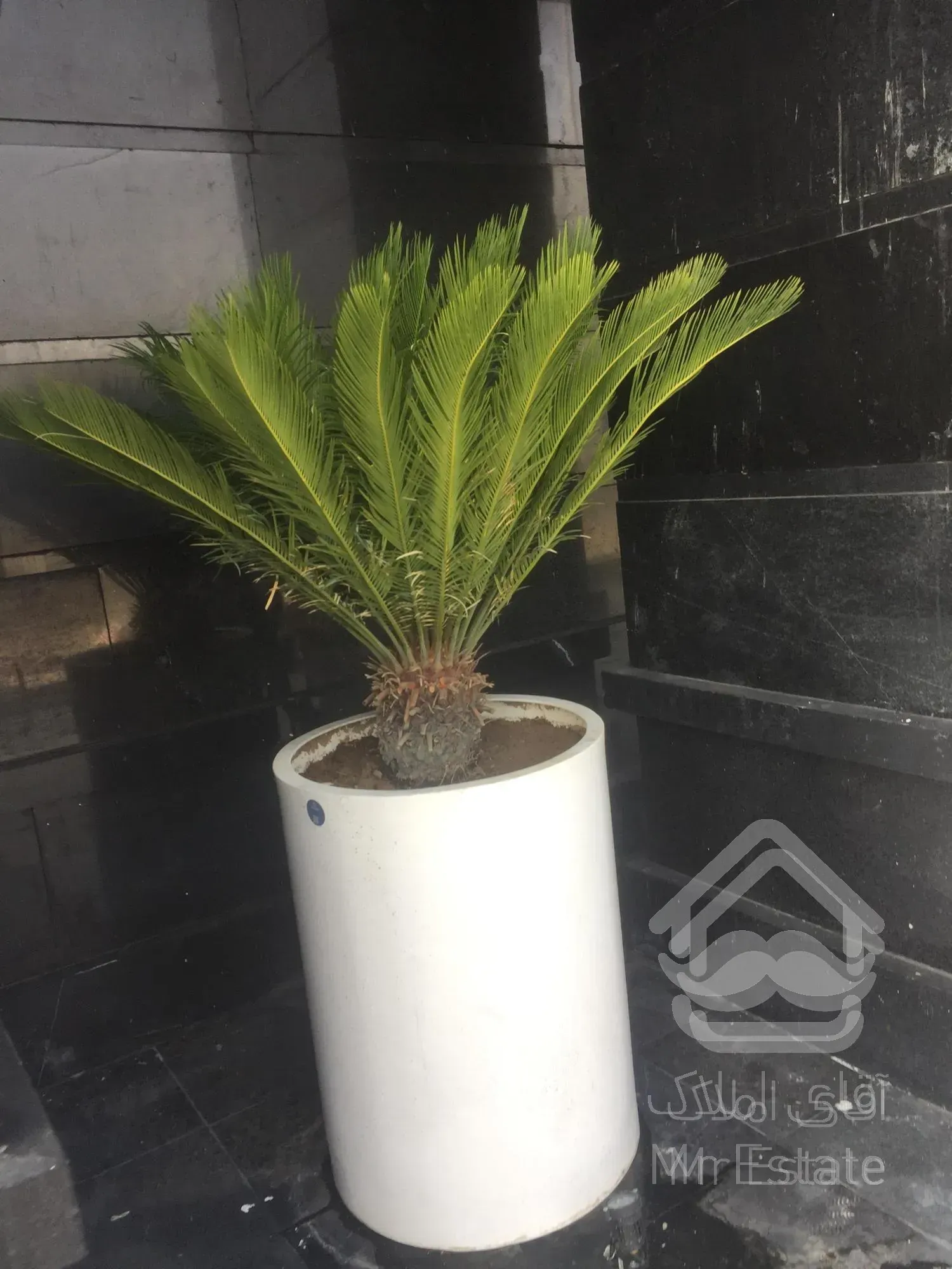 خرید واحد ۵۰ متری ویو ابدی اقساطی