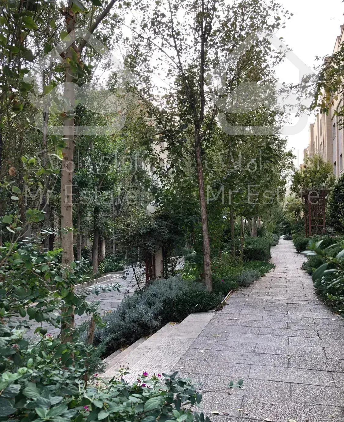 ۵۸ متر // ۱ خواب // شاهین شمالی