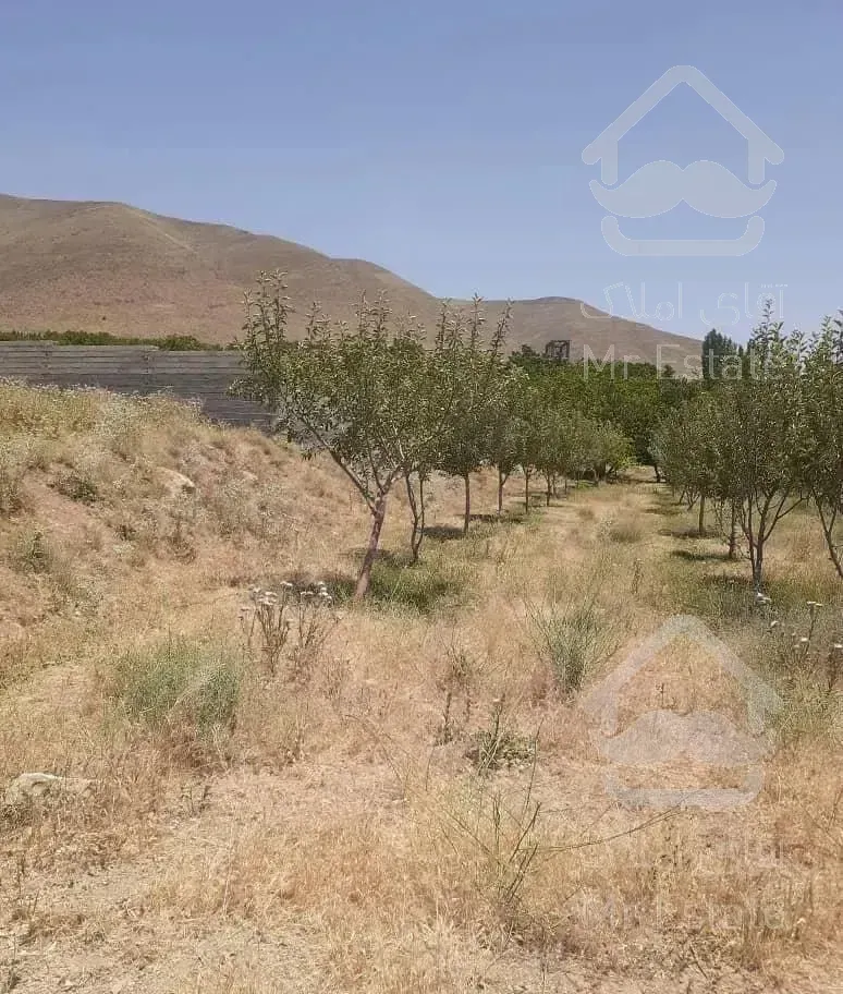 باغ میوه  چشم انداز خیلی عالی