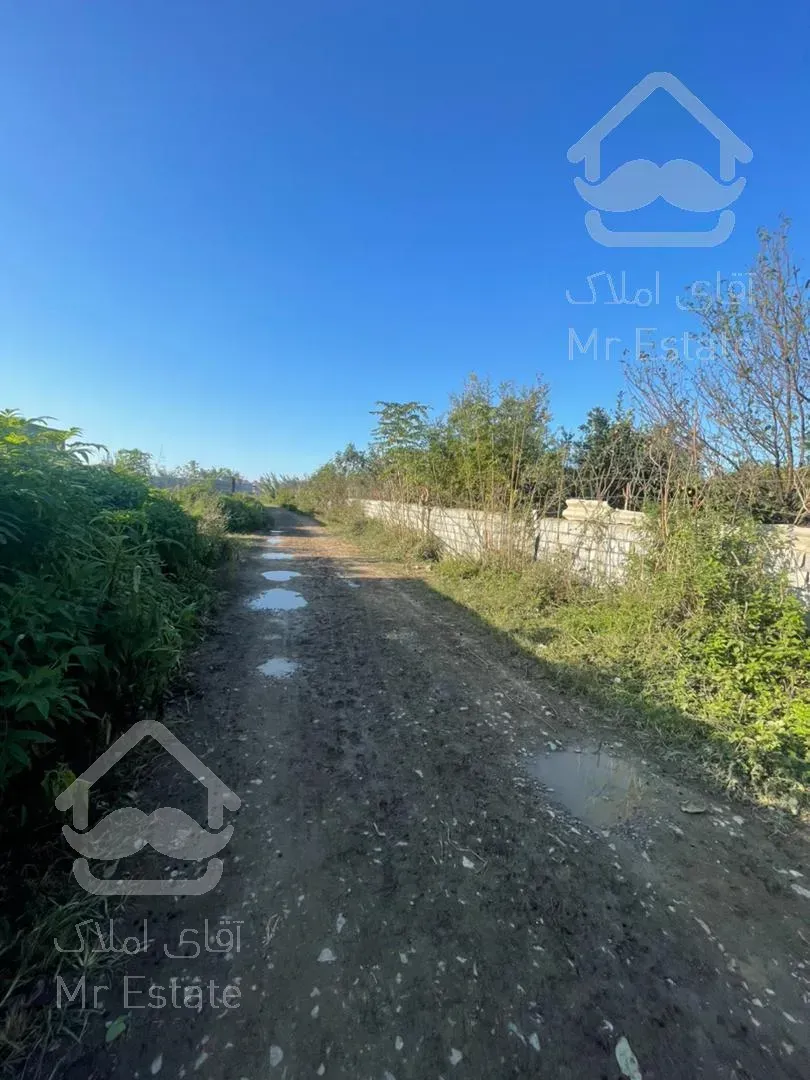 فروش فوری باغ در آمل مناسب سرمایه گذاری