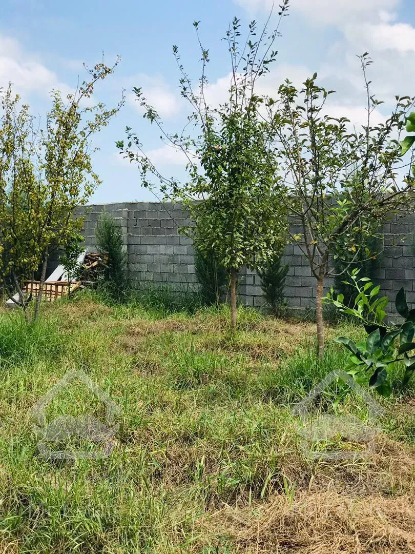 فروش باغ 300 متري منطقه دنج و غير بومي