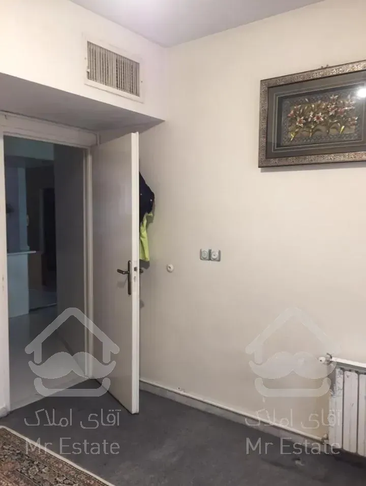 ۸۲ متر شقایق شمالی