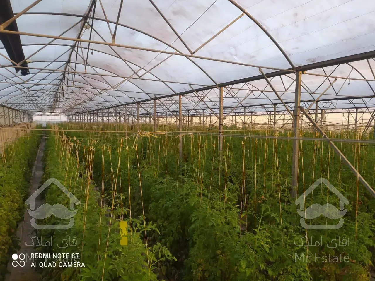 فروش زمین کشاورزی