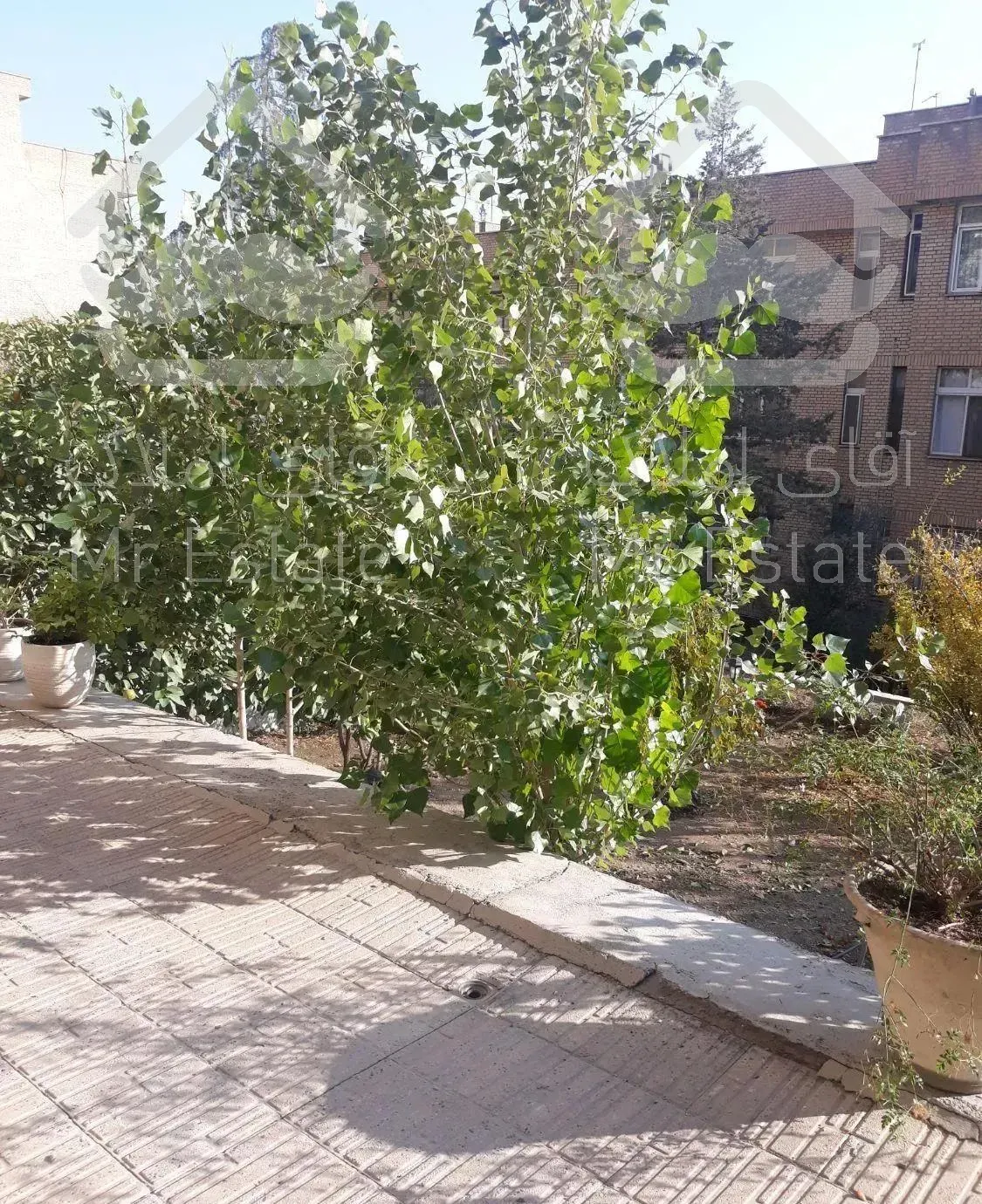 ۱۵۷ متر ۳طبقه تکواحدی طبقه سوم