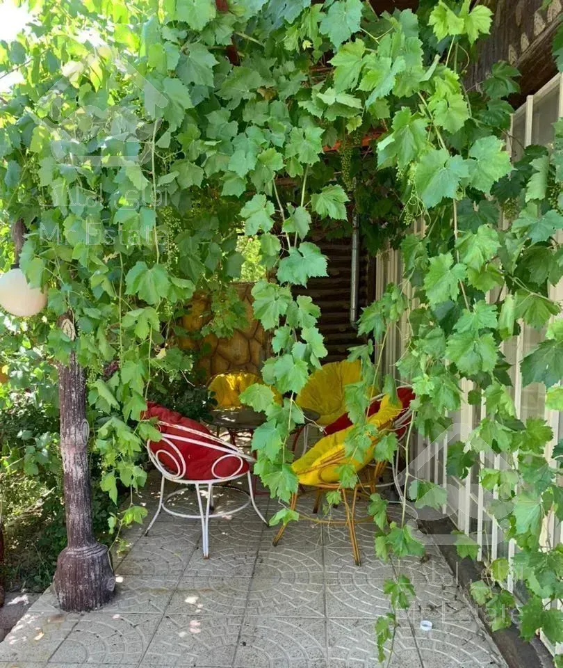 اجاره ویلا باغ