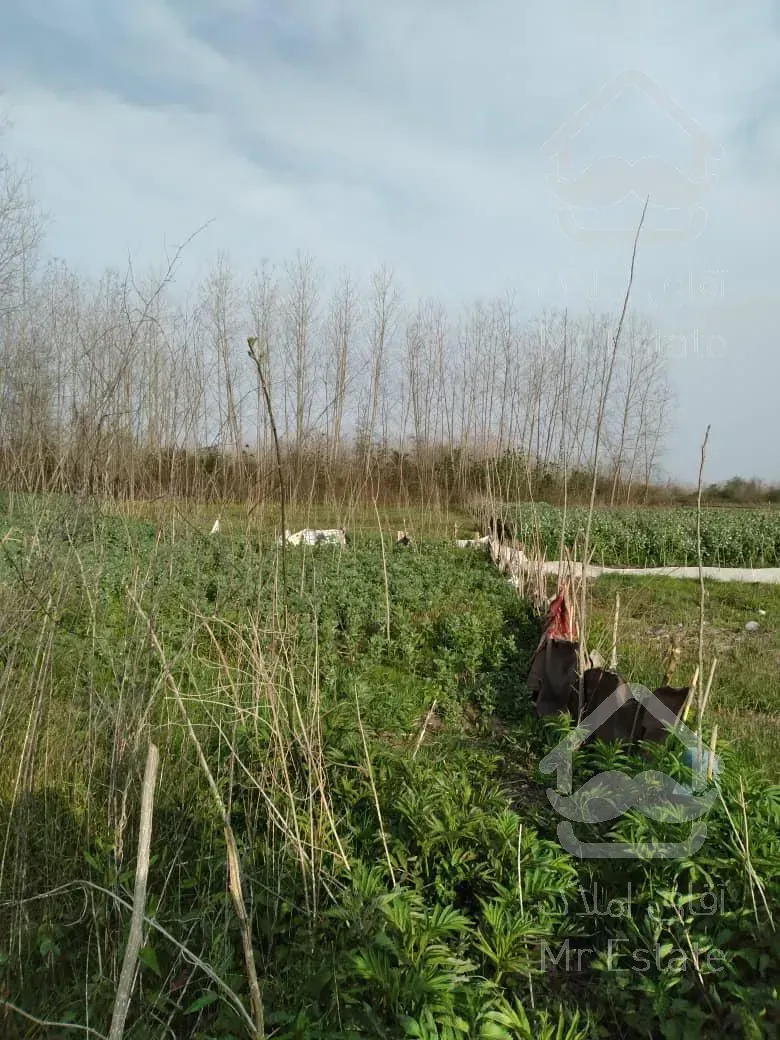 باغ طبیعت خوش اب و هوا