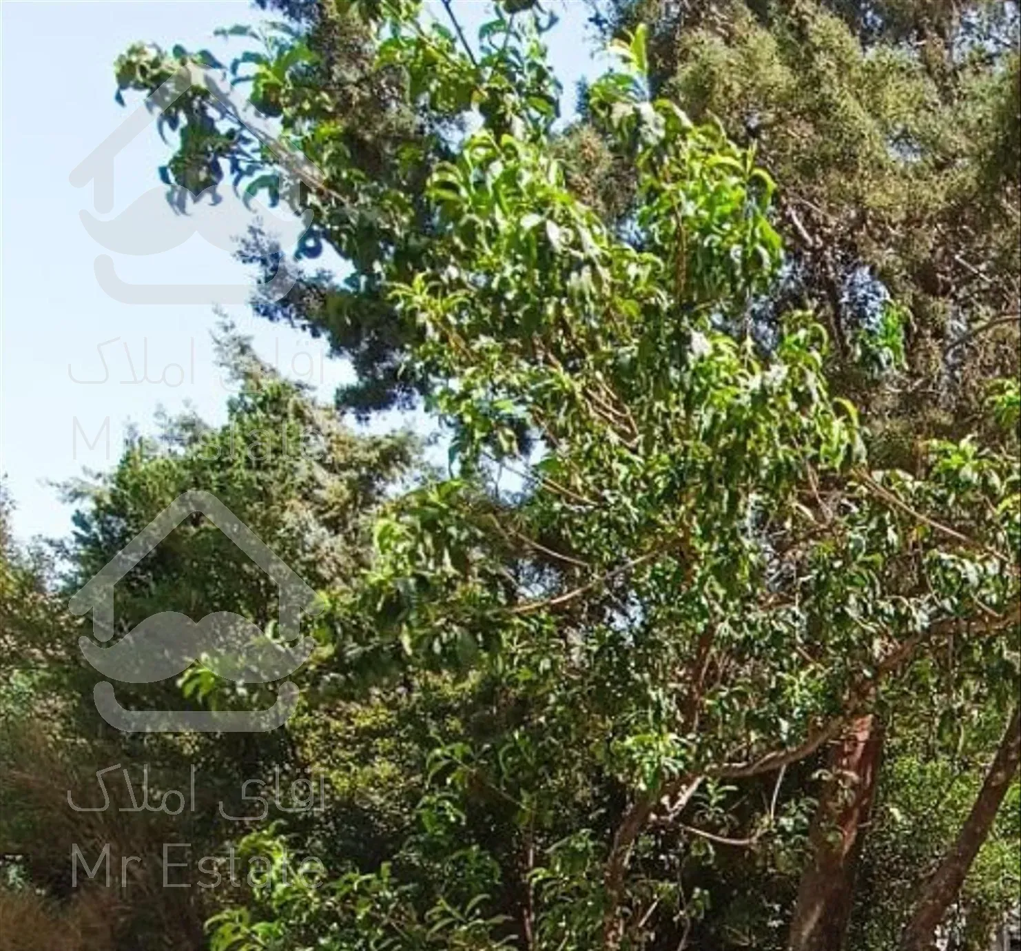 درکه ۱۱۰ متر بنا دربستی / سکونت و کار