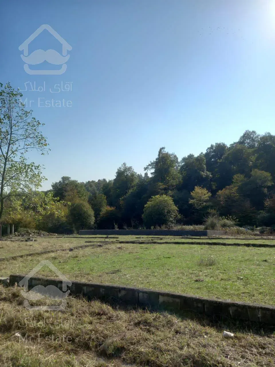 زمين قواره يك جنگل،تو شهركى،سنددارد،مناسب سرمايه گزارى