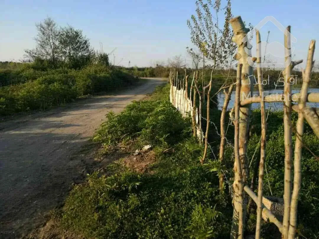 استخرماهی همراه امتیاز وام میلیاردی گیلان