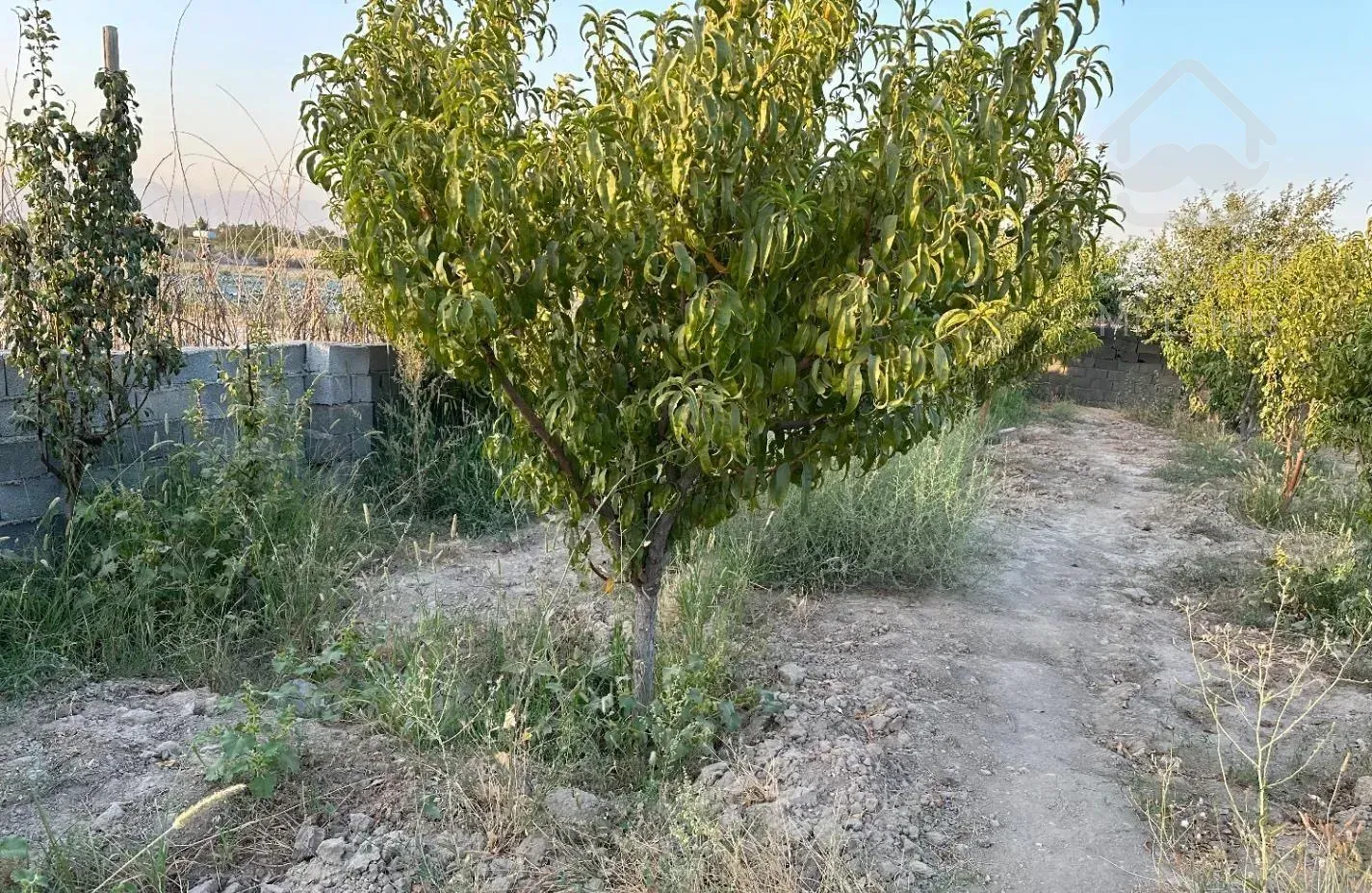 باغچه باغ شهریار چهاردیواری