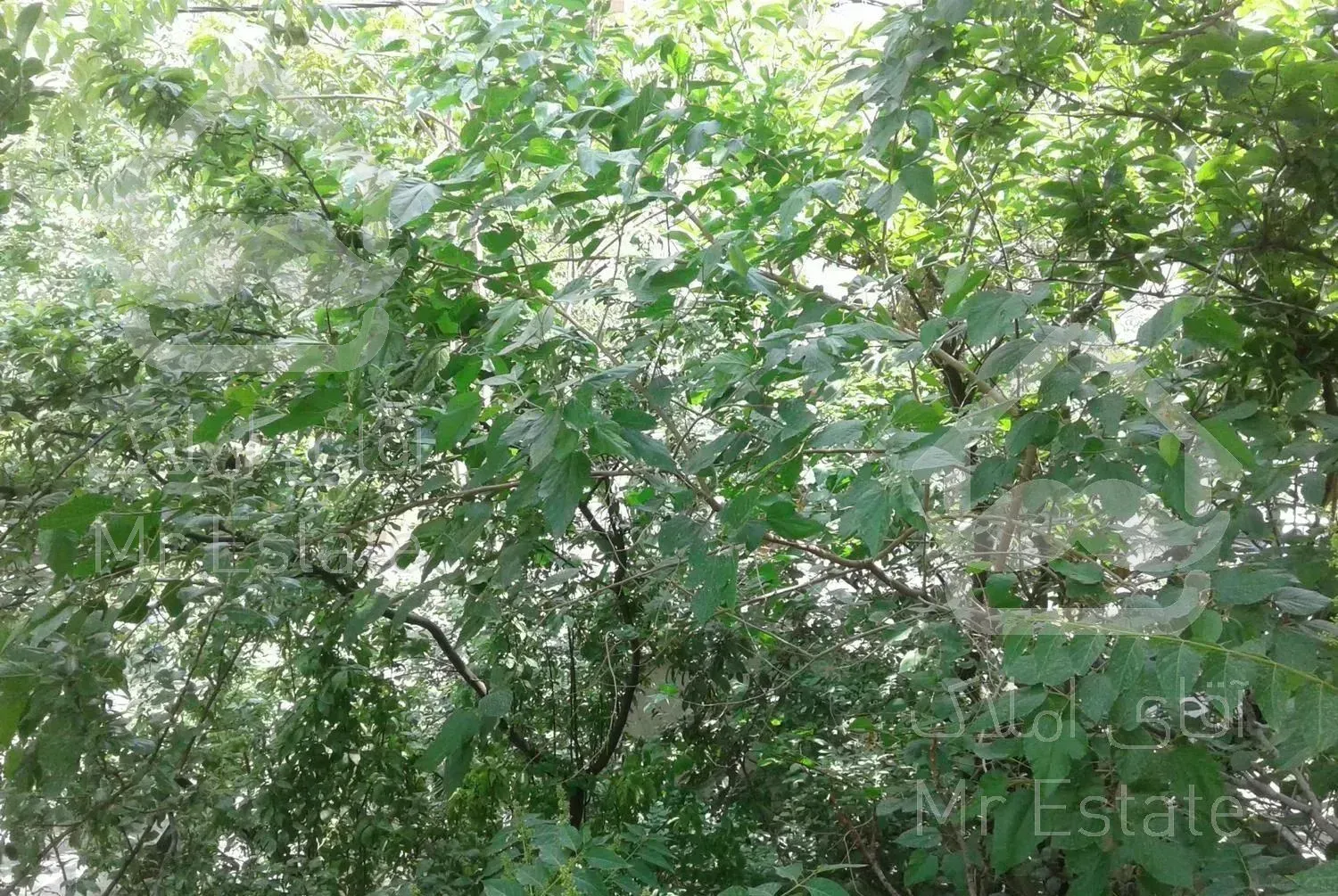 سوئیت نقلی زیرهمکف حیاط دار ** فرمانیه اندرزگو