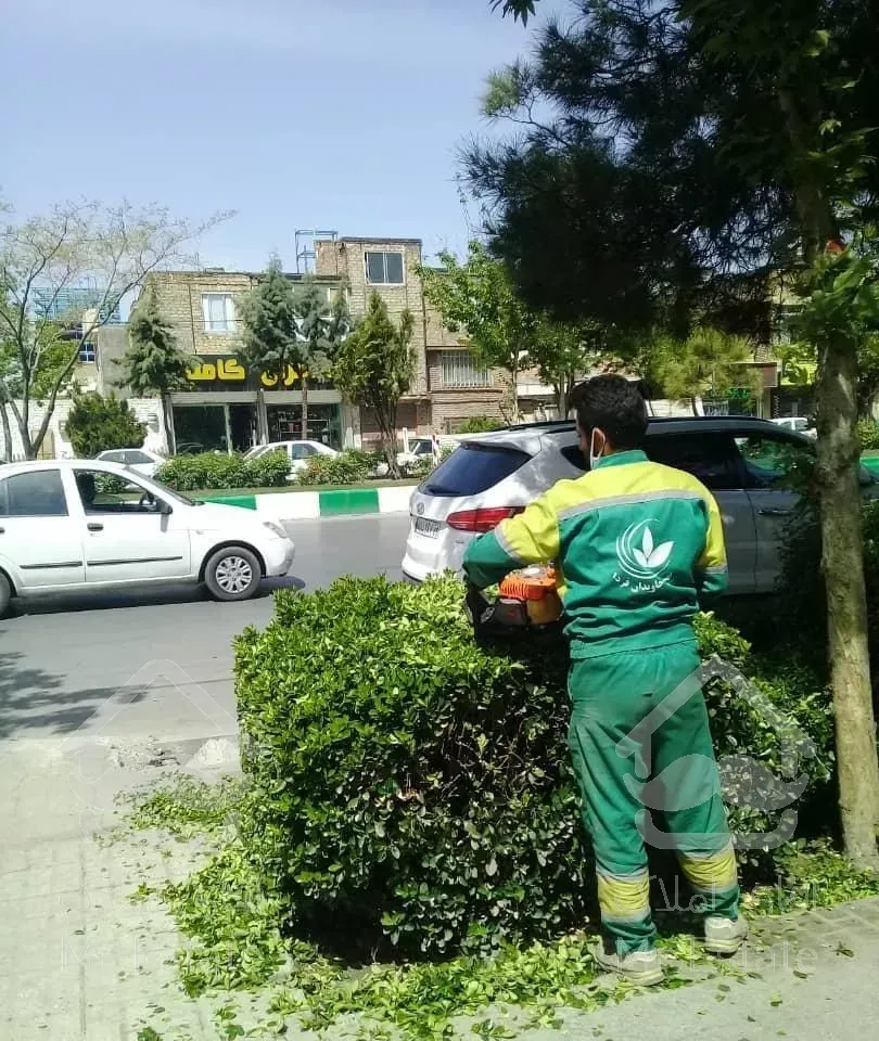 باغبانی و سمپاشی تخصصی در پردیس