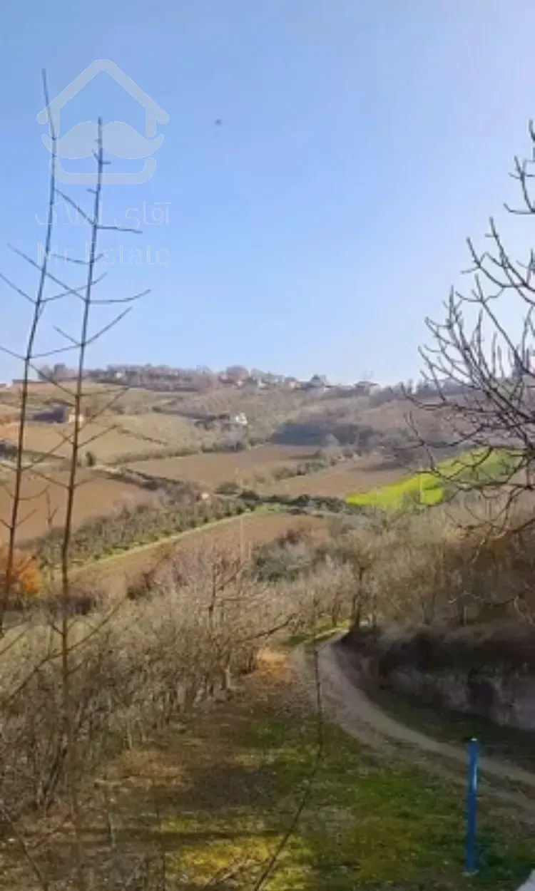 باغ آماده / باغ انار گل انار زود رس/ سرمایه گذاری باغداری