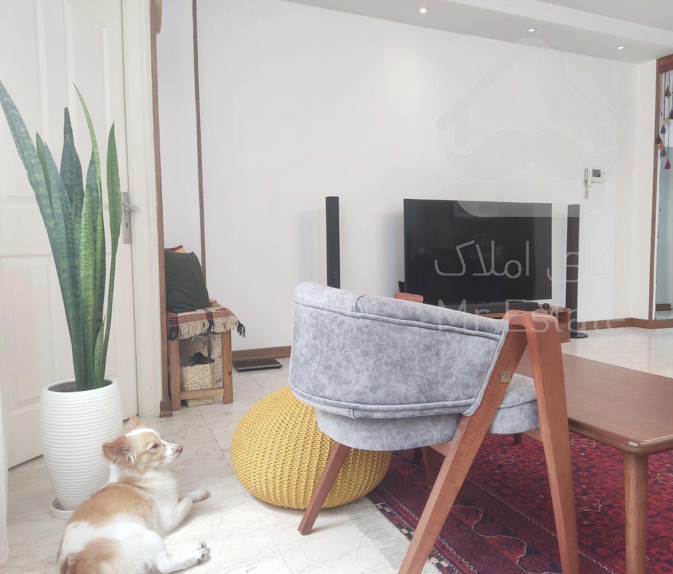 ۵۹متر سالن پرده خور رو به آفتاب