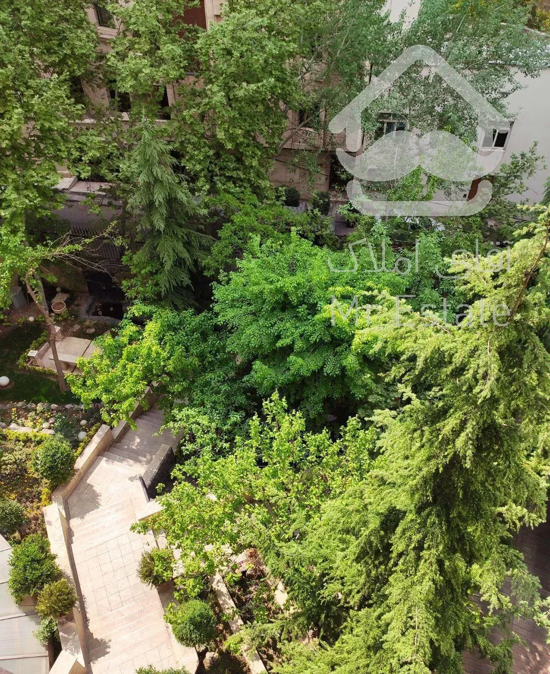 یاسر ۴ خواب مستر