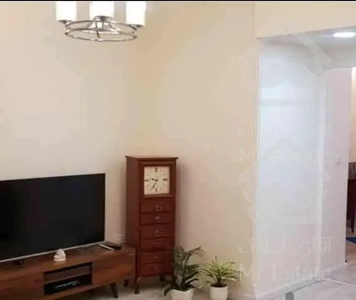 ۶۰ متر یک خوابه ؛ پلیس