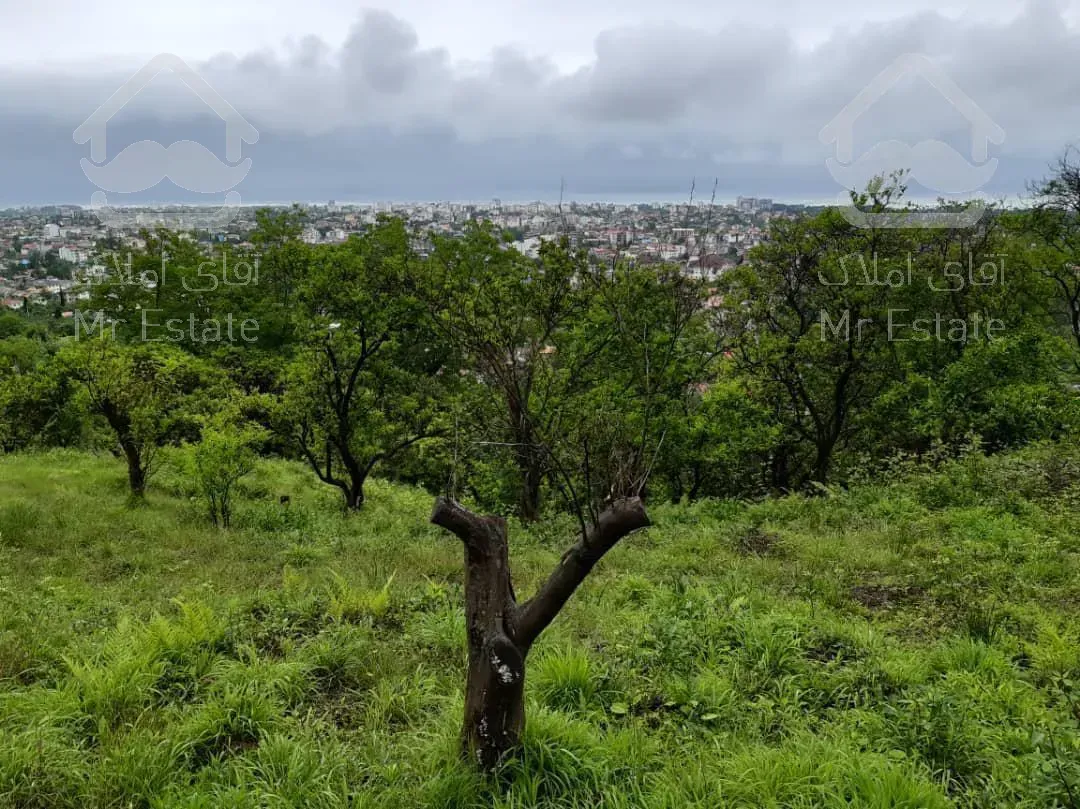 فروش زمین با چشم انداز عالی