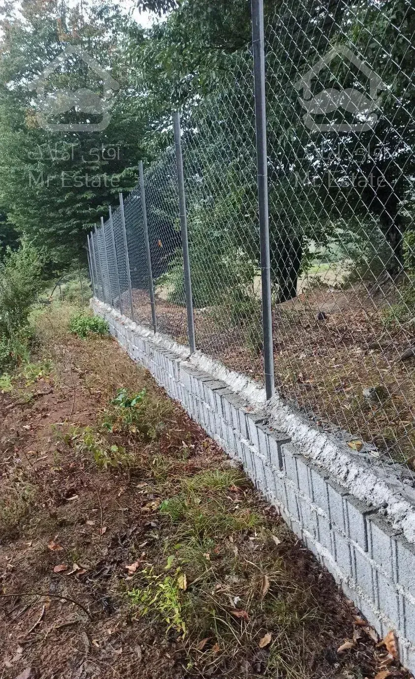 زمین جنگلی قادیکلای بزرگ با موقعیت تجاری  قادیکلا