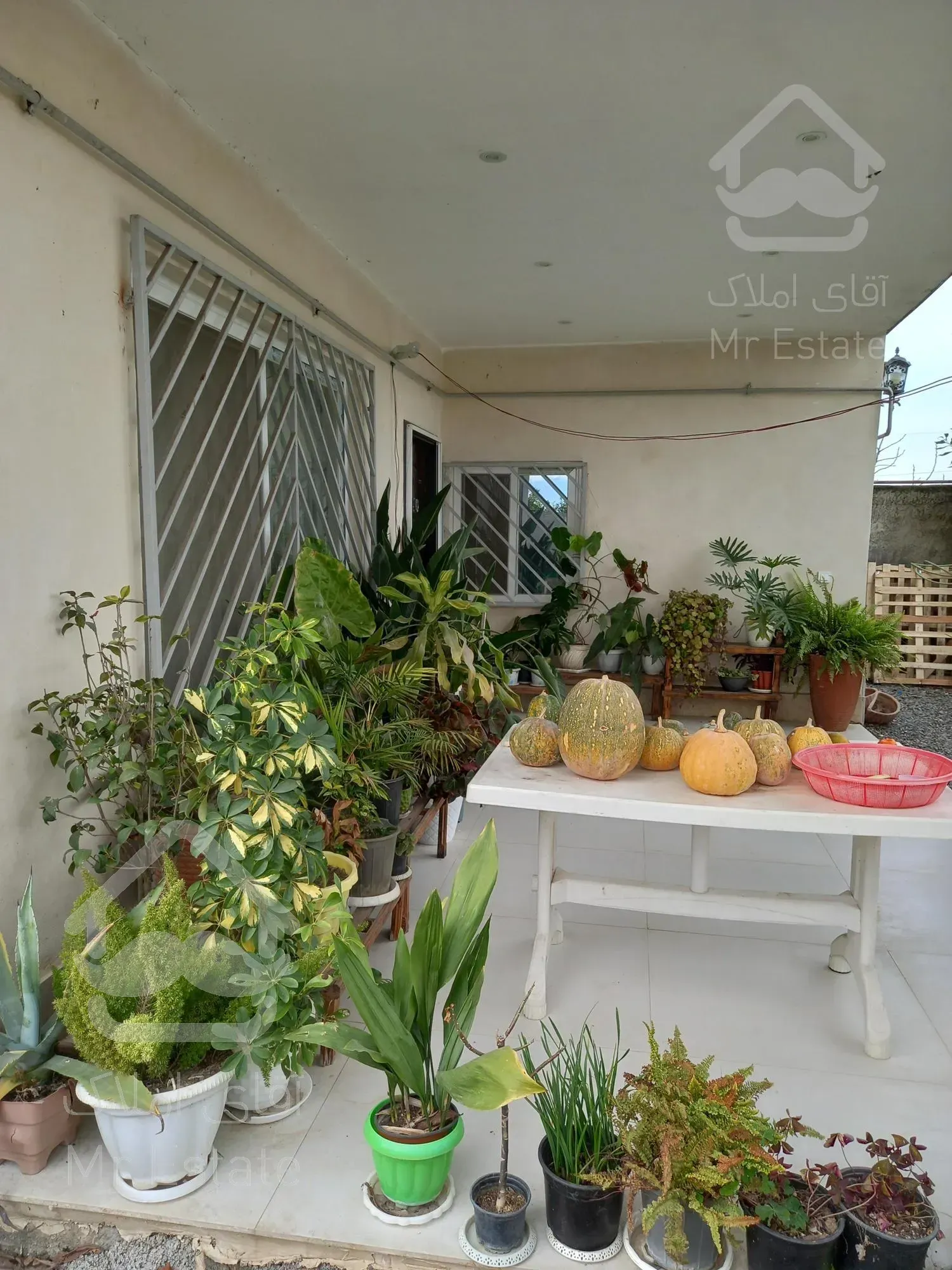 ویلا باغ پرمحصول