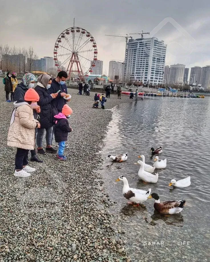 واحد ۸۰ و ۱۲۰ برج لوکس دریاچه