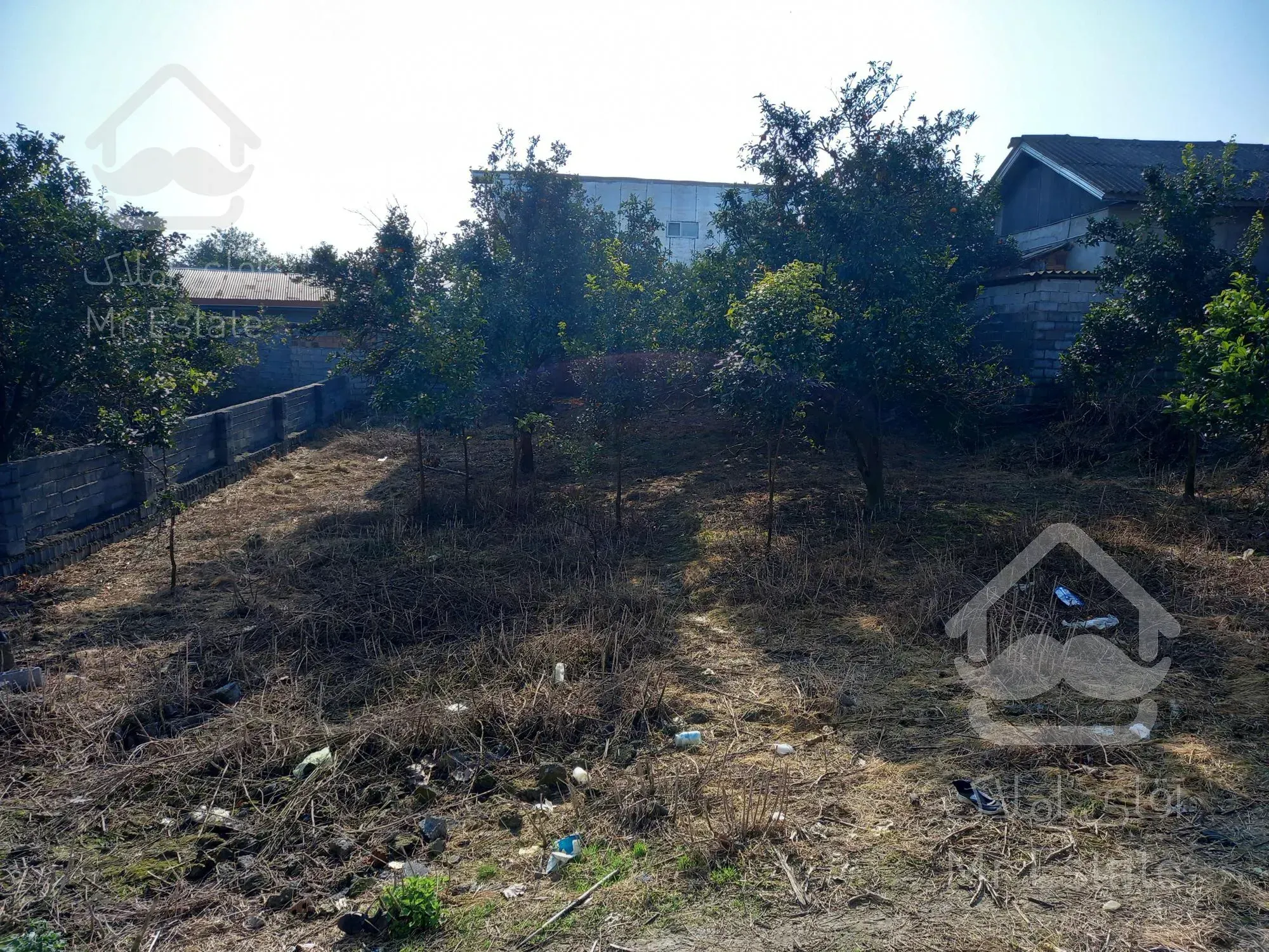 زمین جنگلی بافت مسکونی