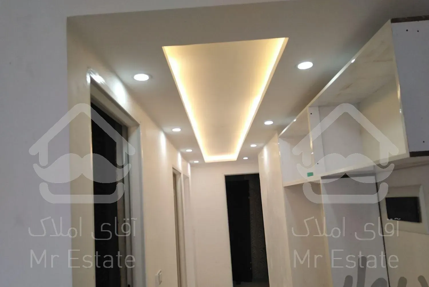 برقکار، برق کار، برقکش، برقکشی