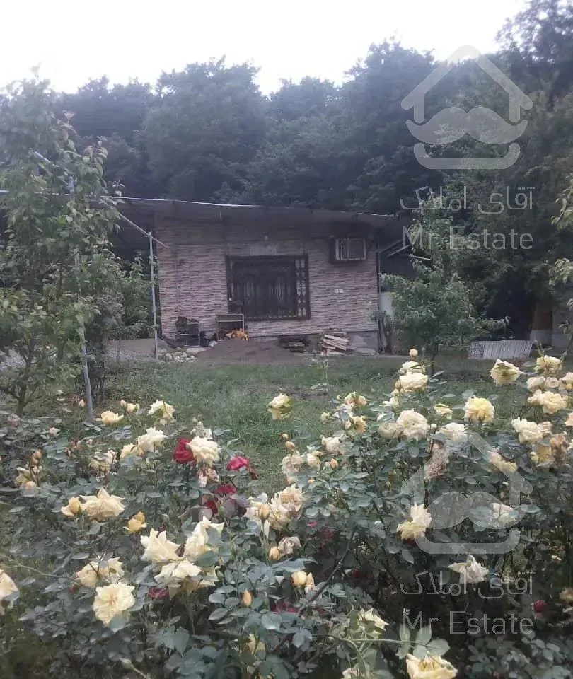 ویلا سوییت خانه جنگلی