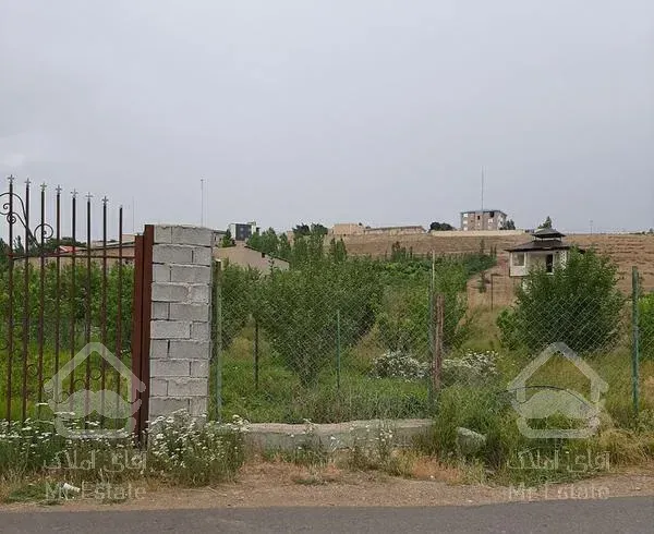 باغ بر یک کلفور درختد۱۵ ساله