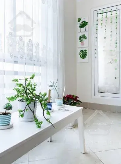 ۶۰متر خوش نقشه