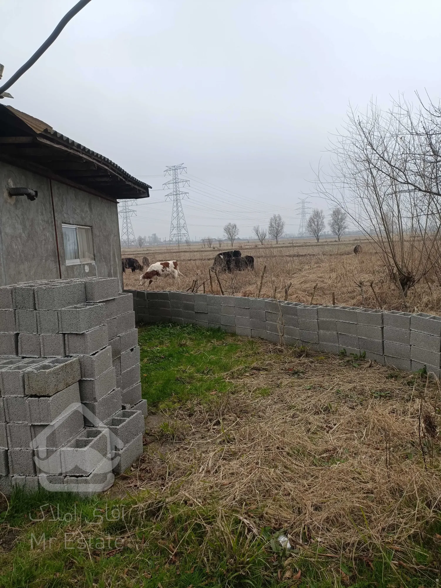 خانه و محوطه ساحلی