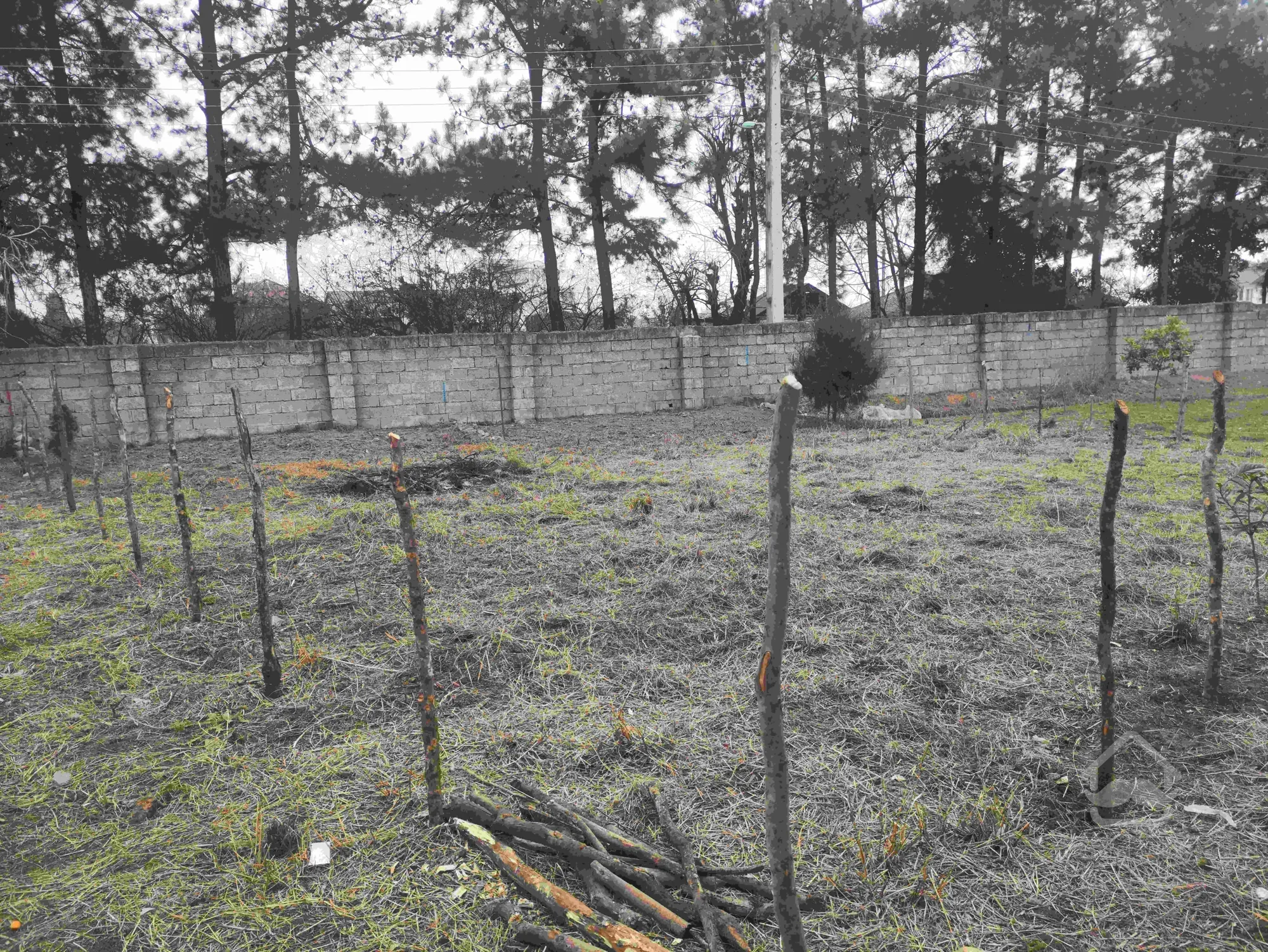 زمین مسکونی 200 متری