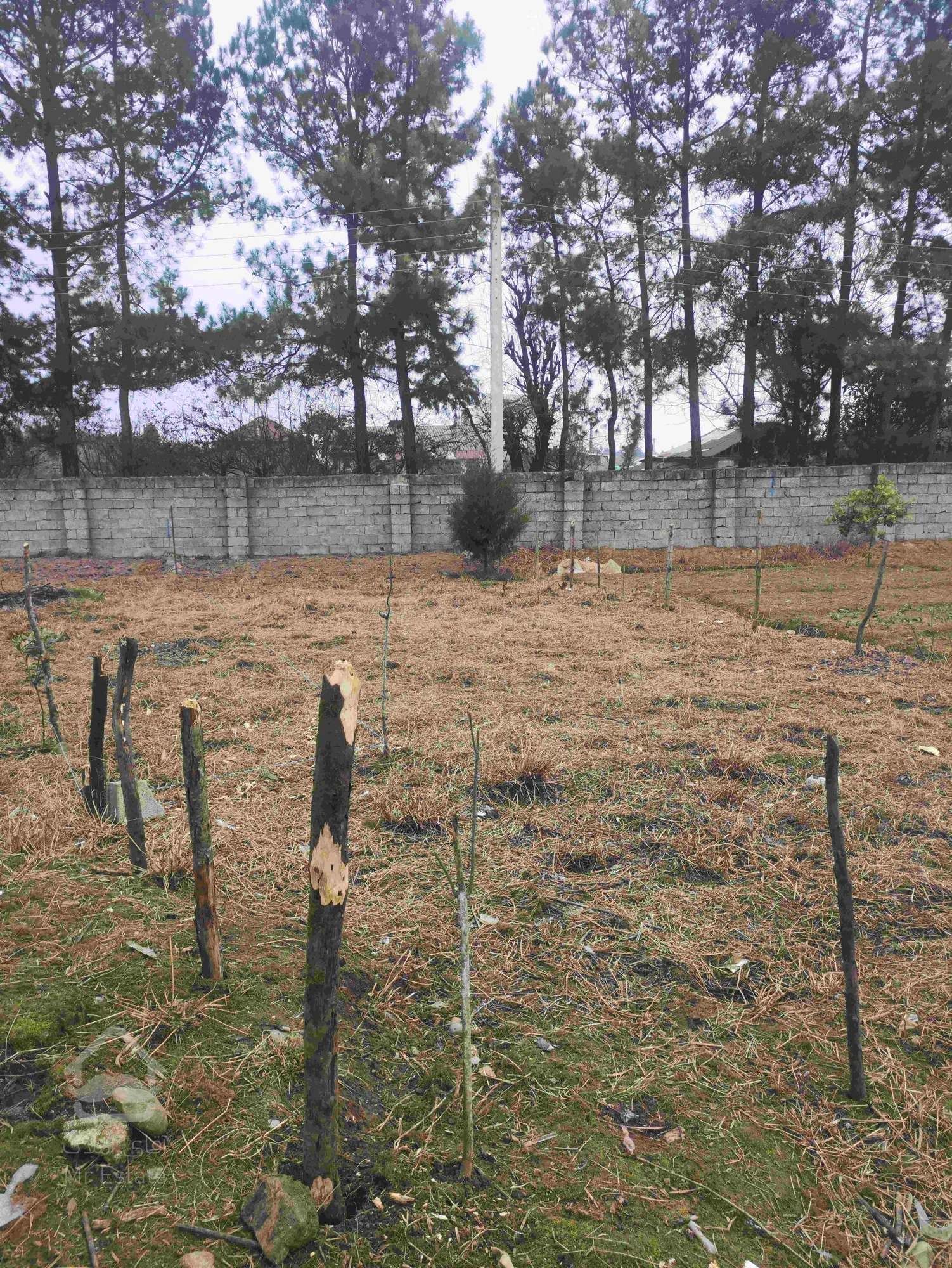 زمین مسکونی 200 متری