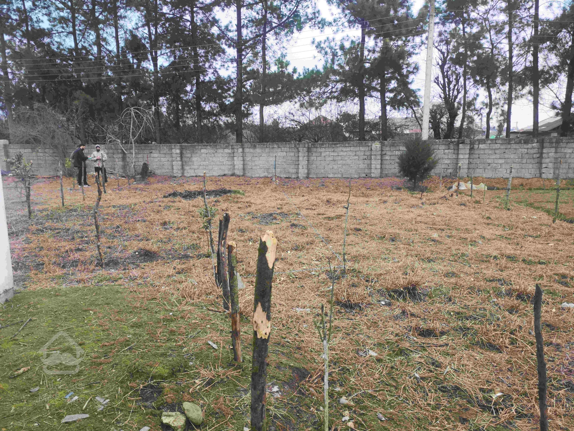 زمین مسکونی 200 متری