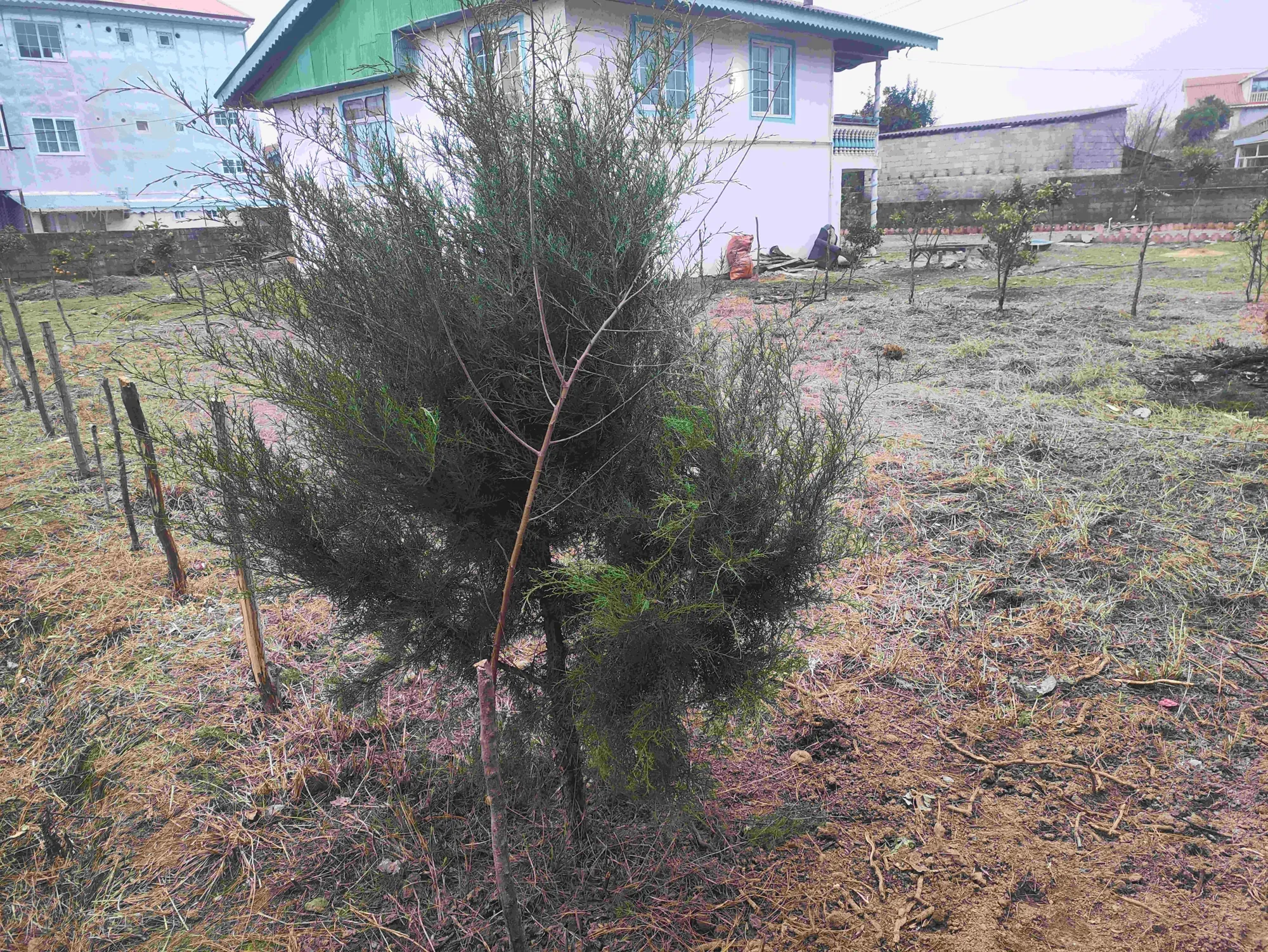 زمین مسکونی 200 متری