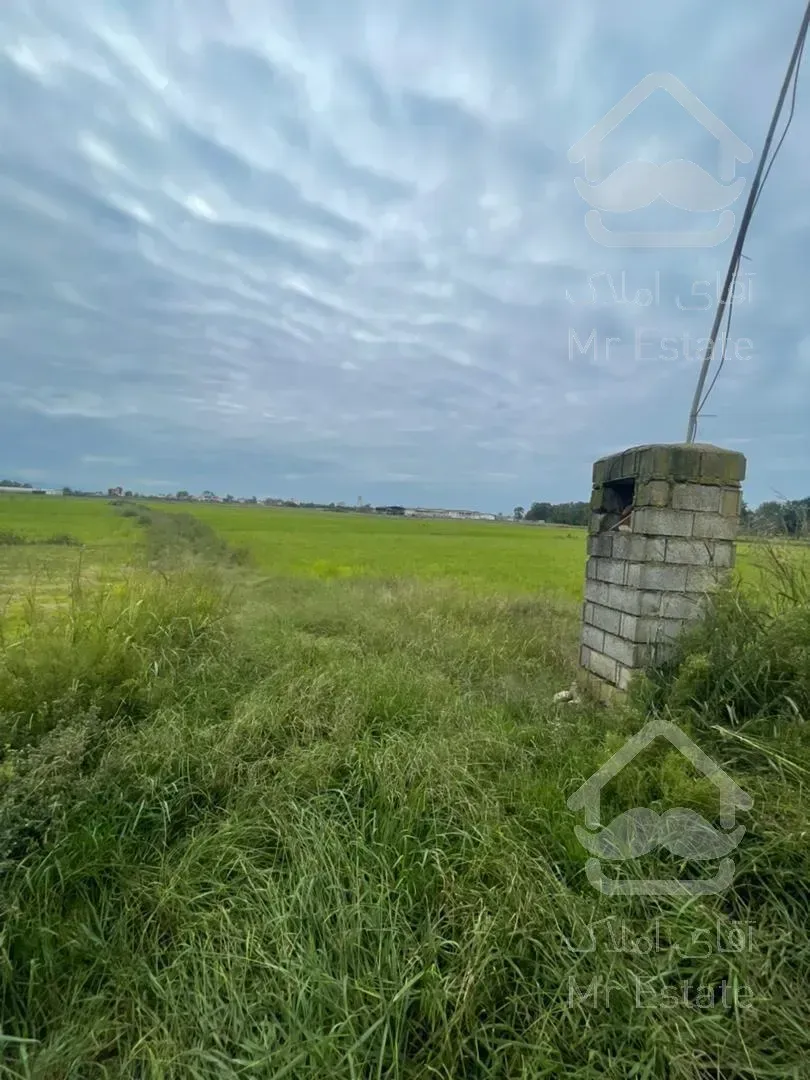 فروش زمين كشاورزي ٤٠٠٠ متري موقعيت استثنائي