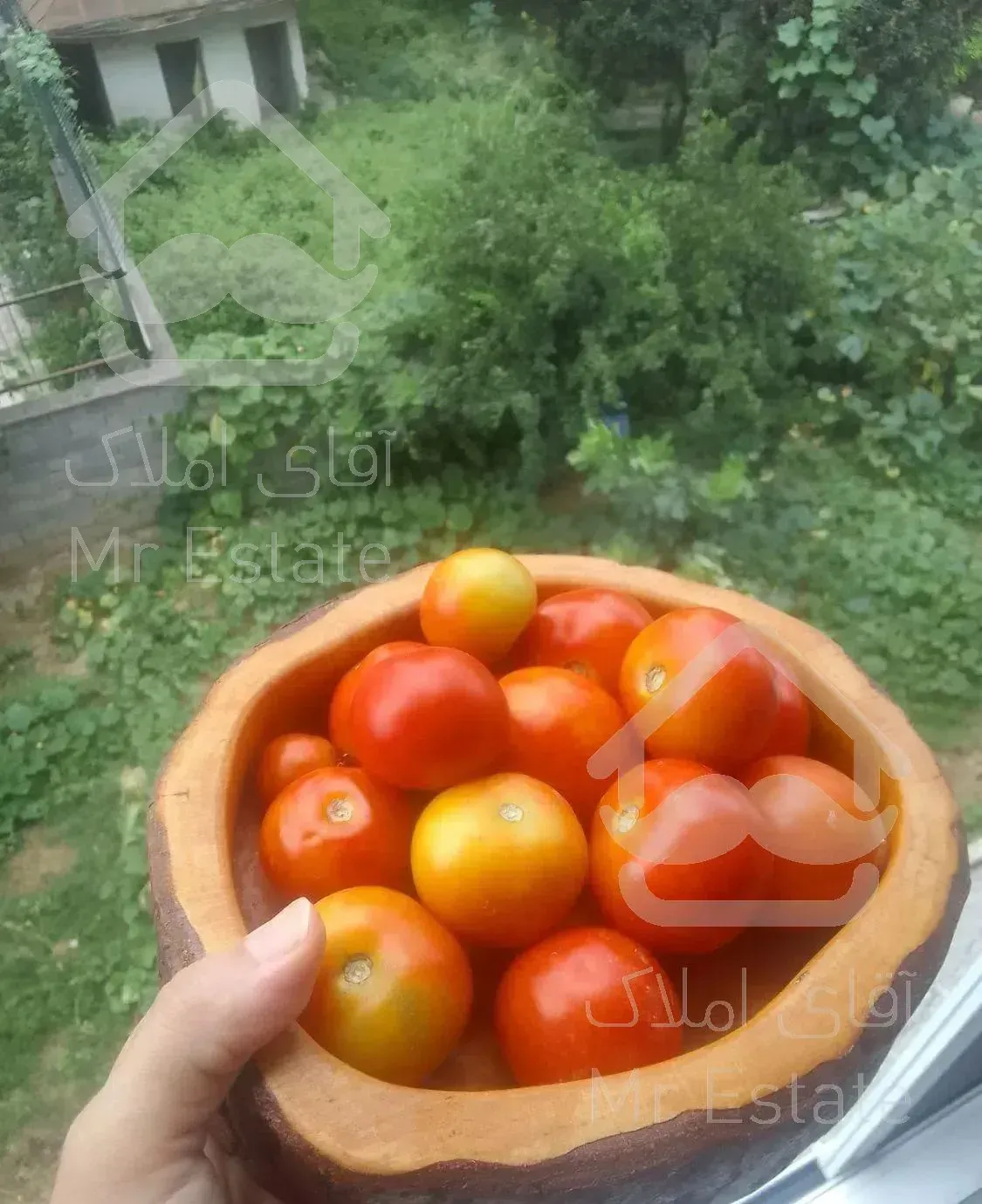 ویلاباغ بهار *روف گاردن* بدون واسطه نوساز