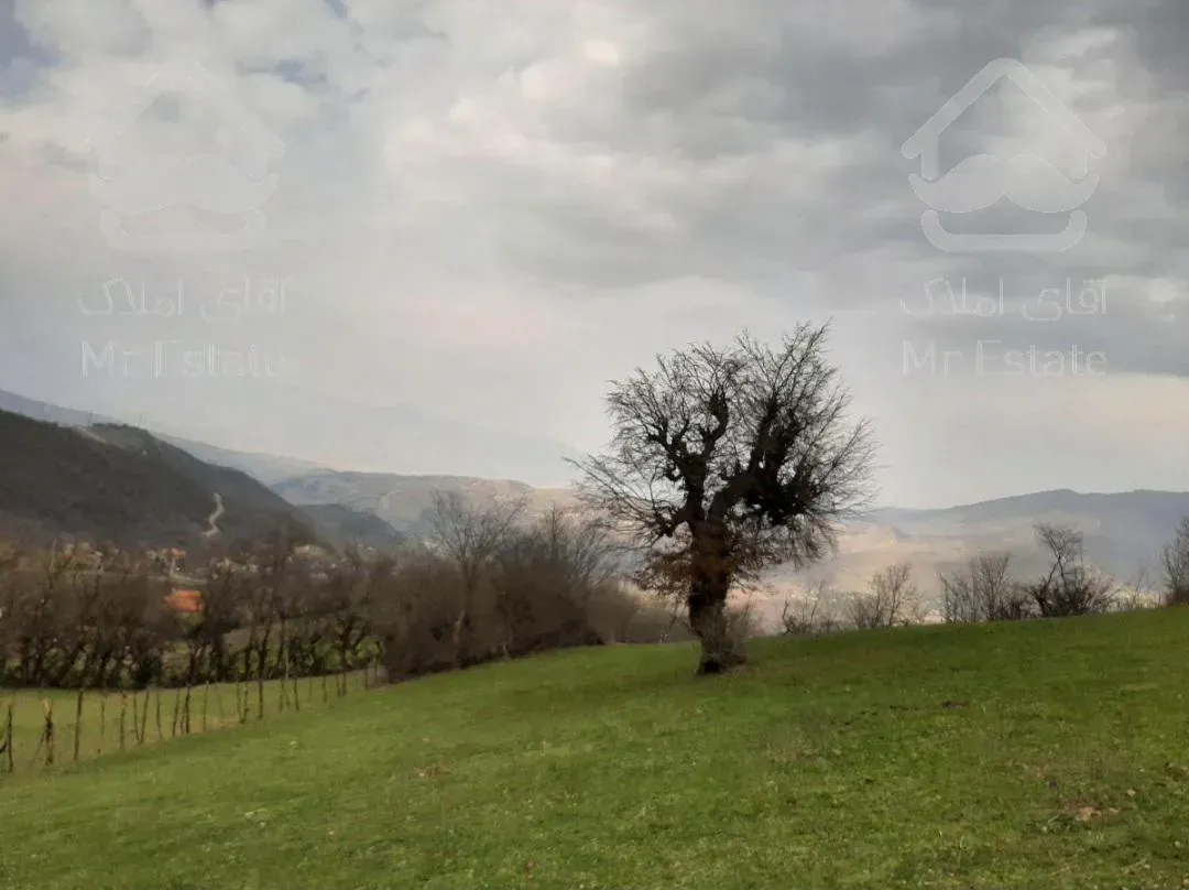 فروش زمین کشاورزی به قیمت