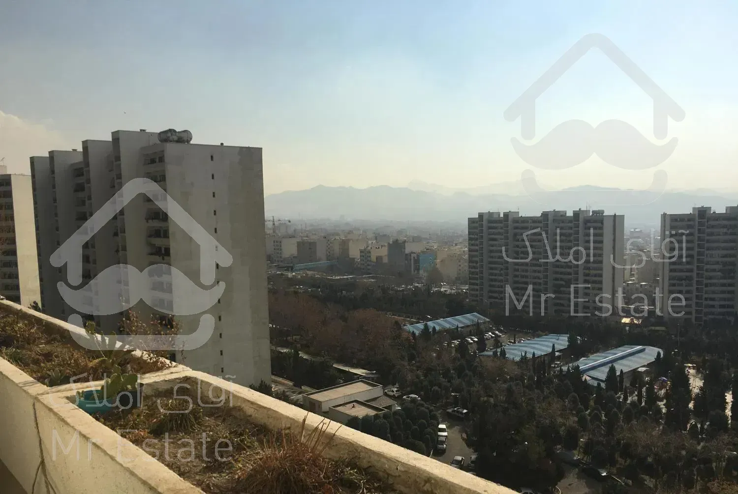 معاوضه فازaبا سه خواب روبه جنگل