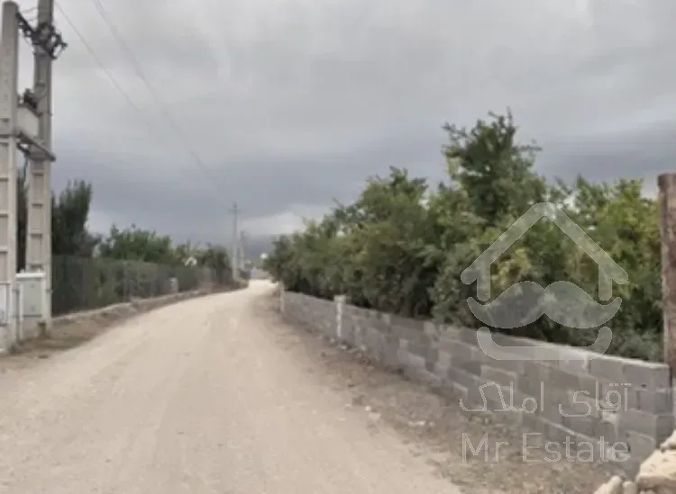 باغ آماده / باغ انار گل انار زود رس/ سرمایه گذاری باغداری