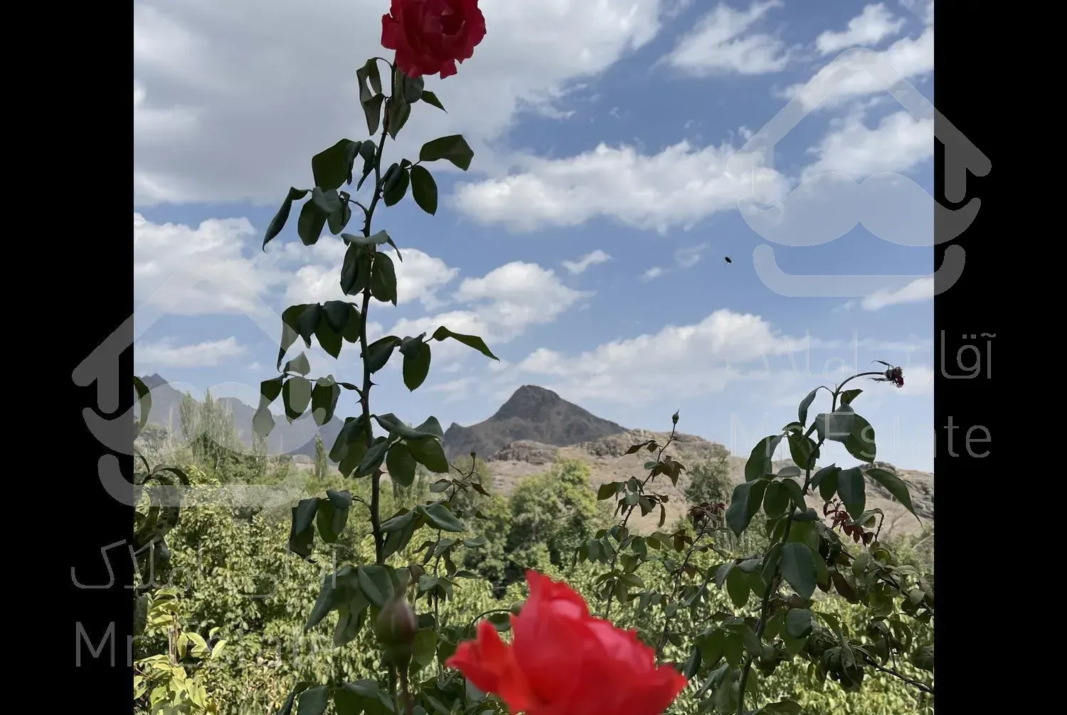 اجاره  باغ ویلا در طبیعت چهار فصل نطنز