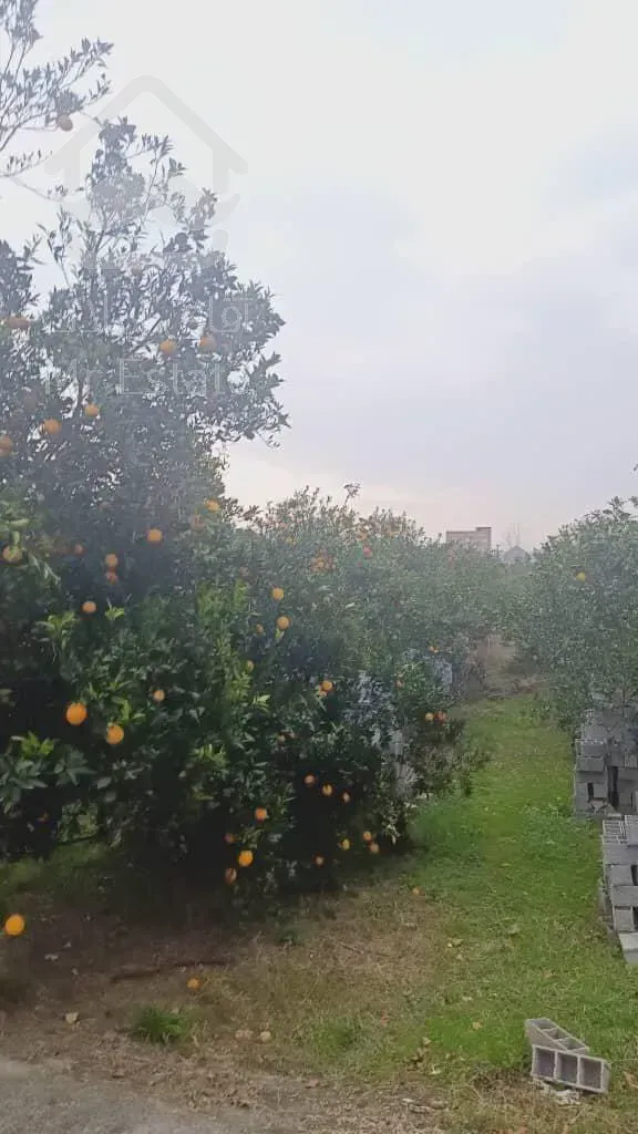 ۸۵۰ متر زمین در بابلکنار